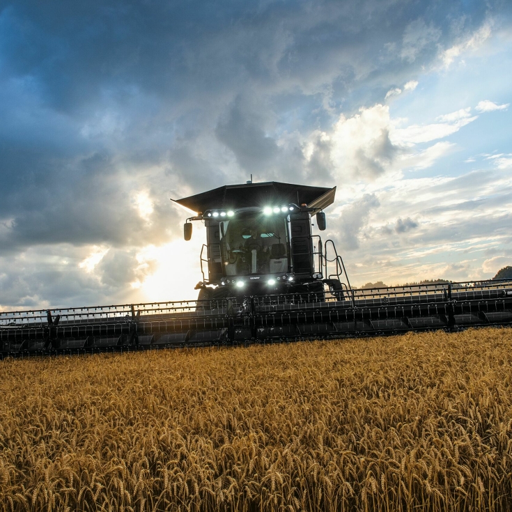 Fendt IDEAL en un campo de Trigo