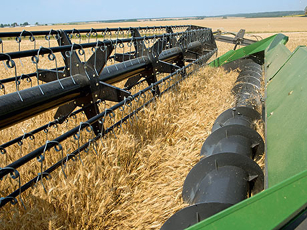 Primer plano del mecanismo de corte PowerFlow de una cosechadora Fendt de la serie C en el campo con flujo de forraje activo y cóncavos ajustables