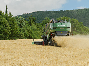 Cosechadora Fendt C-Series cosechando en un campo, con el mecanismo de corte visible y el proceso de cosecha en acción