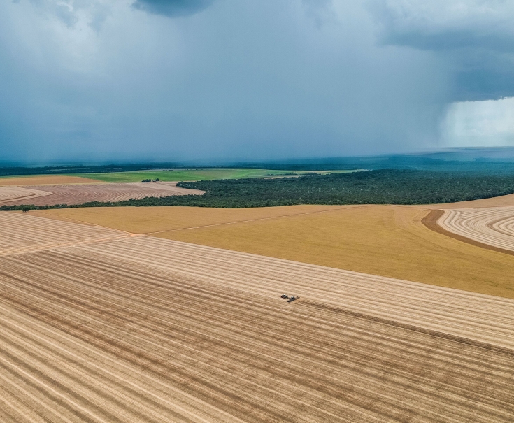 Fendt 1000 Vario con sembradora de precisión Fendt MOMENTUM en Brasil con poca cobertura telefónica Una imagen de dron desde lejos de un Fendt 1000 Vario verde en combinación con la sembradora de precisión Fendt MOMENTUM en un campo muy grande en Brasil. Al fondo se ven muchas parcelas y un bosque.