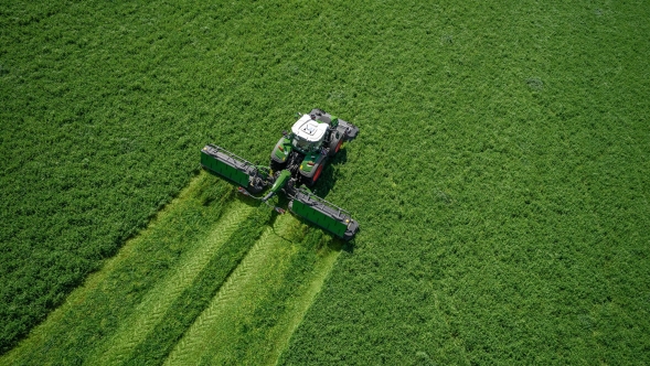 Un Fendt 800 Vario verde siega con una segadora combinada en un prado, la imagen está tomada a vista de pájaro.