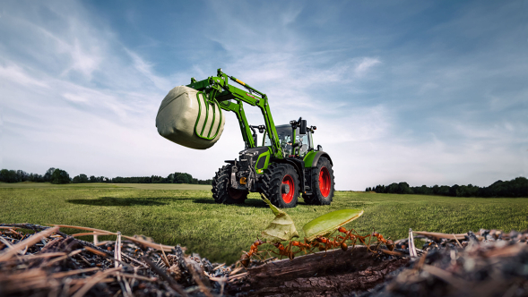 Key Visual Fendt 600 Vario Fendt 600 Vario con cargador frontal en un campo con hormigas en primer plano