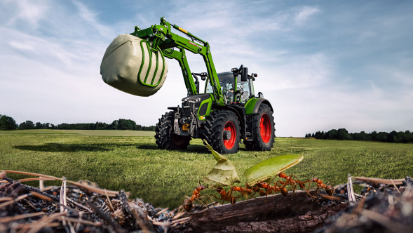 Fendt 600 Vario etukuormaajalla pelossa, jonka etualalla on muurahaisia.