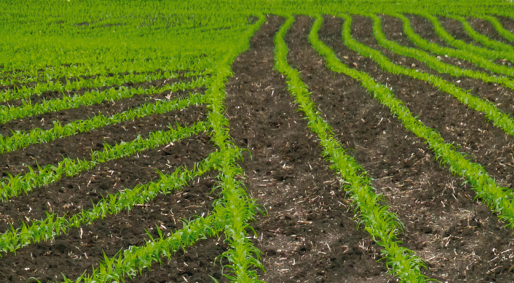 Fourrière d'un champ de céréales travaillé avec SectionControl