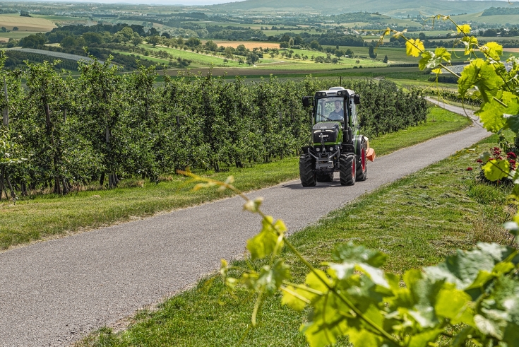 Sur route à travers un vignoble