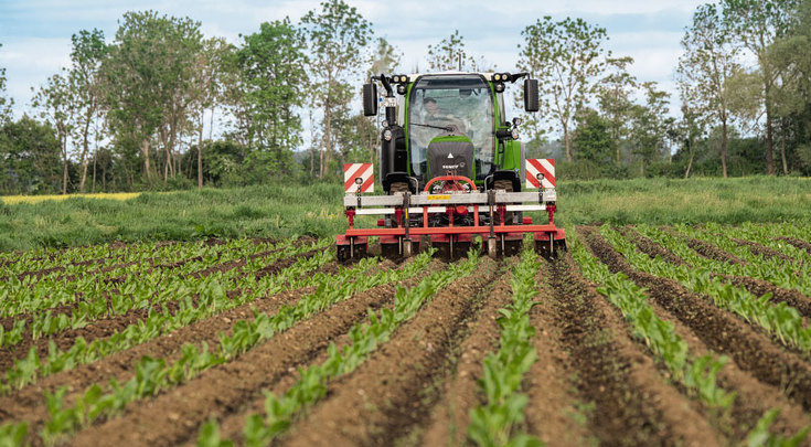 Fendt 300 Vario au travail avec les roues de service dans des cultures spécialisées.