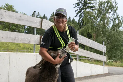 A woman in protective clothing smiles at the camera while feeding a donkey with a bottle.