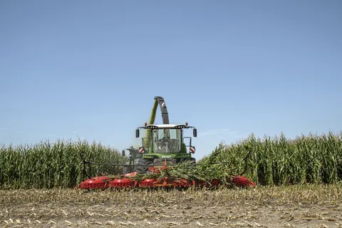 A green Fendt Katana field chopper harvesting a maize field and heading towards the camera.