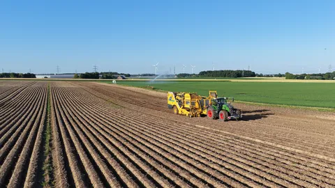 A green Fendt tractor driving with a yellow Keiler II RK22 potato harvester from ROPA over a field and harvesting potatoes. In the background, wind turbines can be seen.