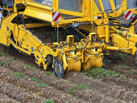 Detailed view of a ROPA Keiler II RK22 potato harvester picking up potato ridges for potato harvesting.