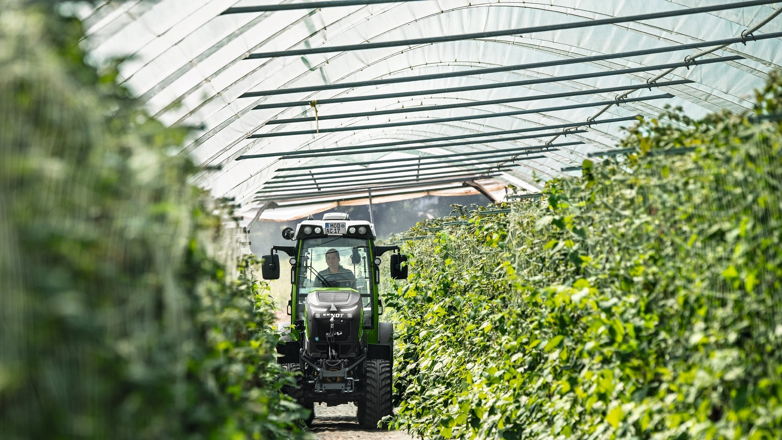 The Fendt e100 V Vario drives in a greenhouse