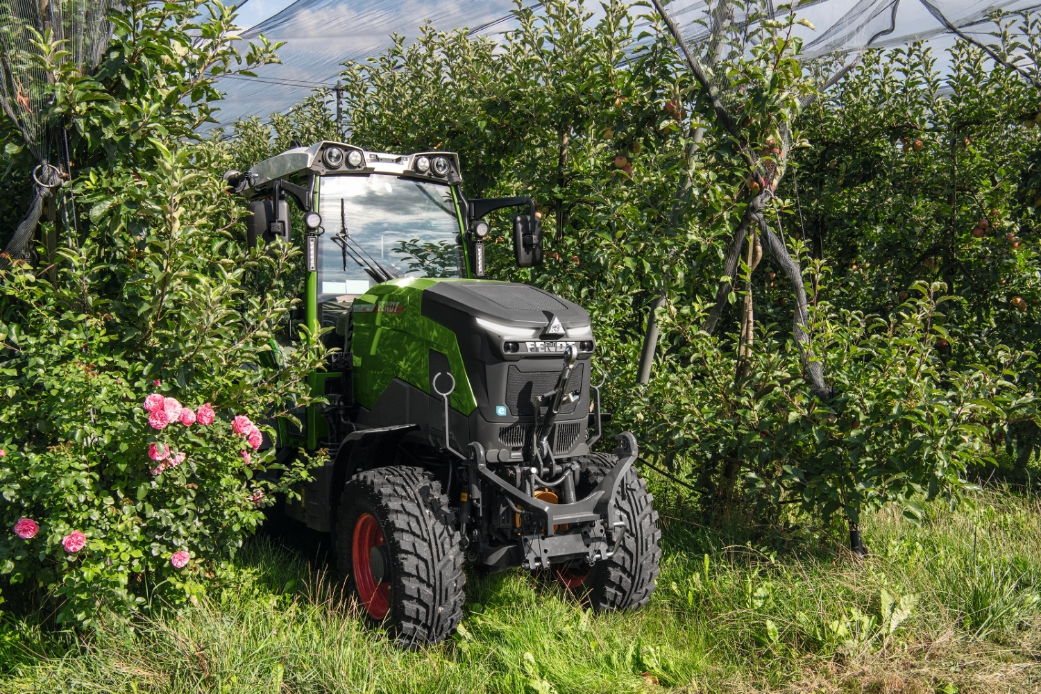 A Fendt e100 V Vario standing between rows of apple trees