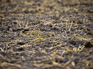 Tyres with lower air pressure enlarge the contact area, reducing ground pressure and soil compaction