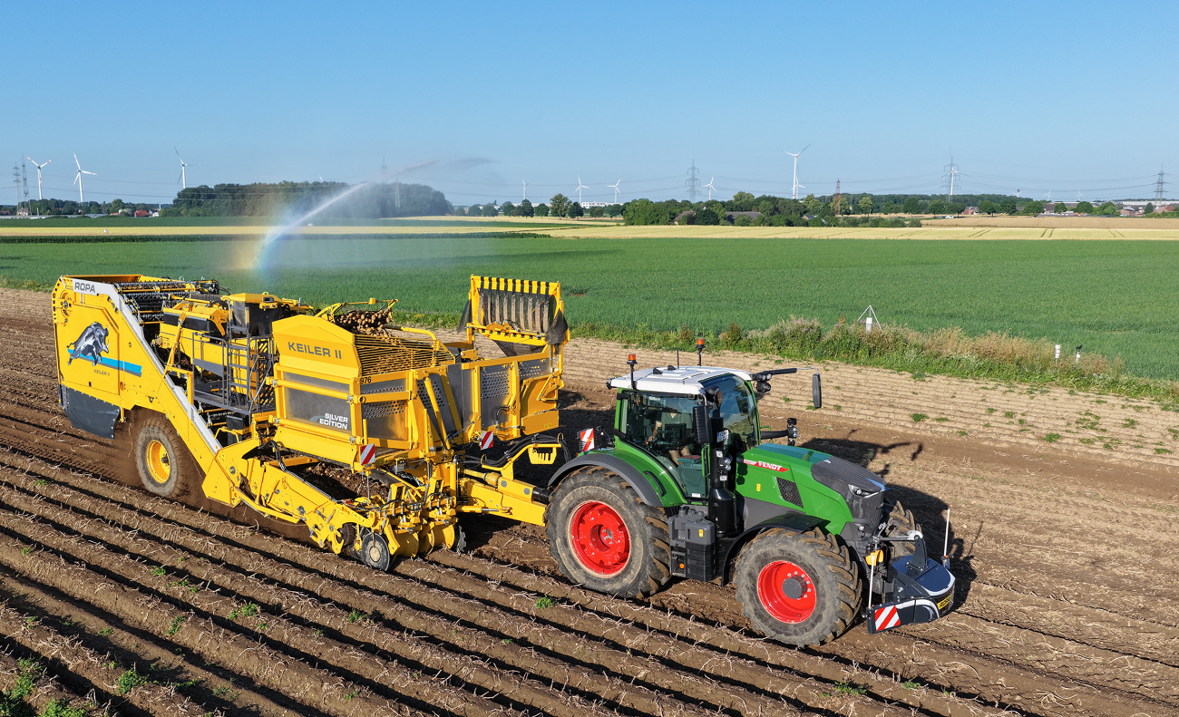 A green Fendt tractor driving with a yellow Keiler II RK22 potato harvester from ROPA over a field and harvesting potatoes. In the background, wind turbines can be seen.