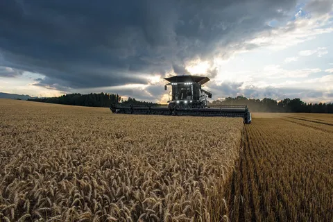 Una Fendt IDEAL color antracite trebbia il frumento, di sera, con unità di taglio montata.