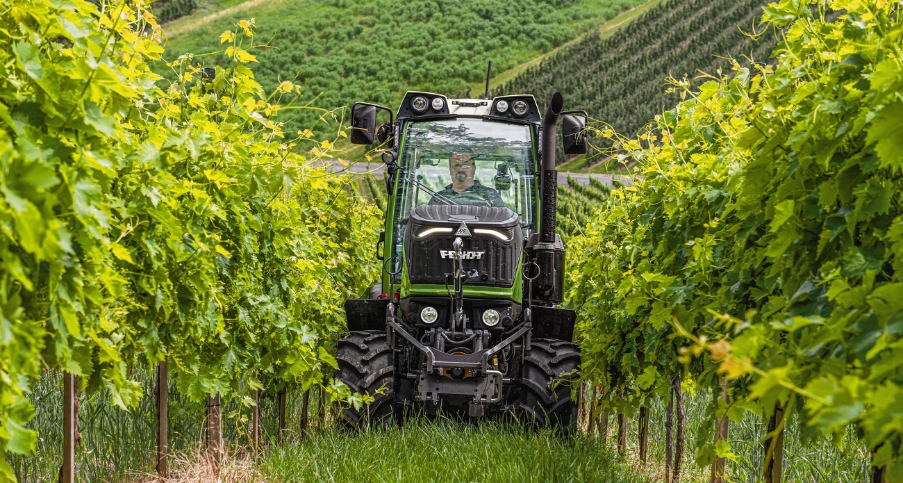 Primo piano del Fendt 200 V Vario che paccia nel vigneto tra le viti.