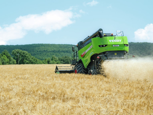 Mietitrebbia Fendt Serie C in azione in un campo durante la raccolta del grano