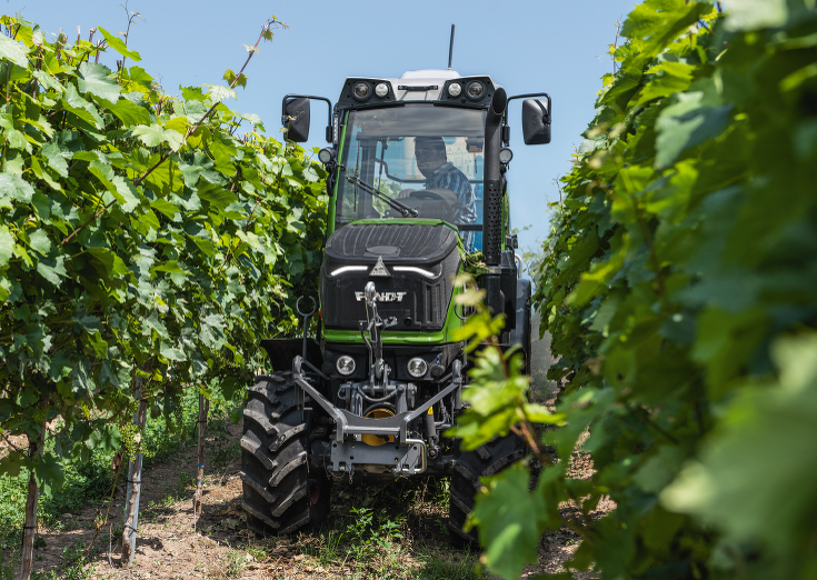 Fendt 200 V/F/P Vario bij het mulchen in de wijngaard tussen de wijnstokken.