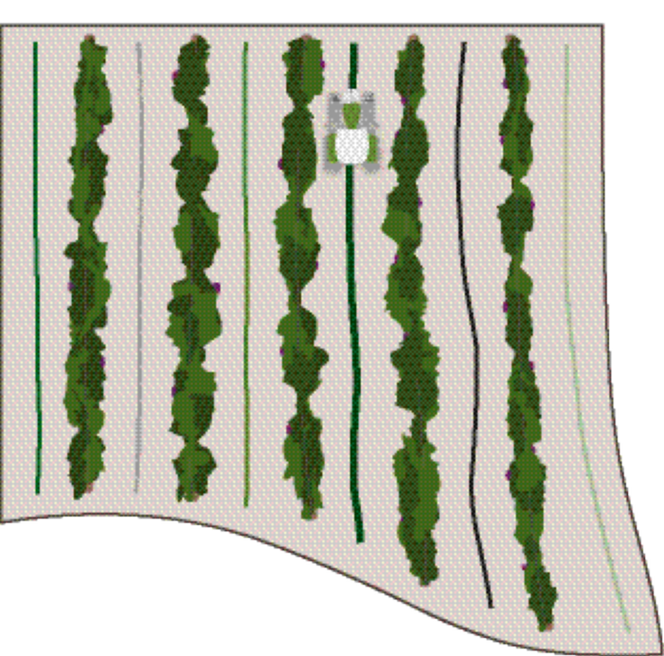 enkelspoor segmenten: De afbeelding toont meerdere enkelspoor lijnen tussen velden waar een tractor overheen rijdt