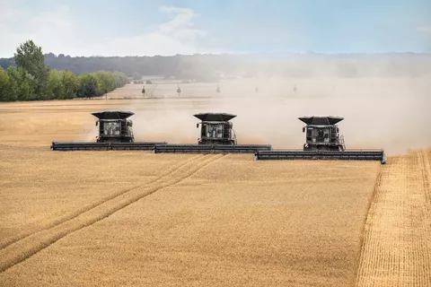 Kombajn zbożowy w użyciu