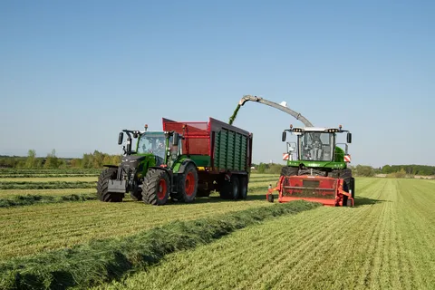 Zielony Fendt 500 Vario ciągnie przyczepę Strautmann ze ścianą przesuwną obok zielonej sieczkarni Fendt. Sieczkarnia rozdrabnia trawę.
