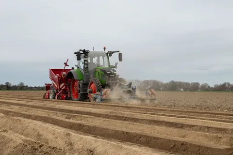 Zielony Fendt 500 Vario z czerwoną sadzarką do ziemniaków i broną talerzową z przodu przejeżdża przez nasypy i sadzi rośliny. Podczas prac wzniecany jest pył.