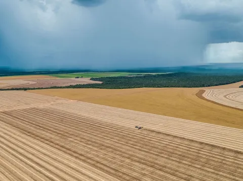Obraz z drona z dużej odległości przedstawiający zielony model Fendt 1000 Vario w połączeniu z siewnikiem punktowym Fendt MOMENTUM na bardzo dużym polu w Brazylii. W tle widać wiele pól uprawnych i las.
