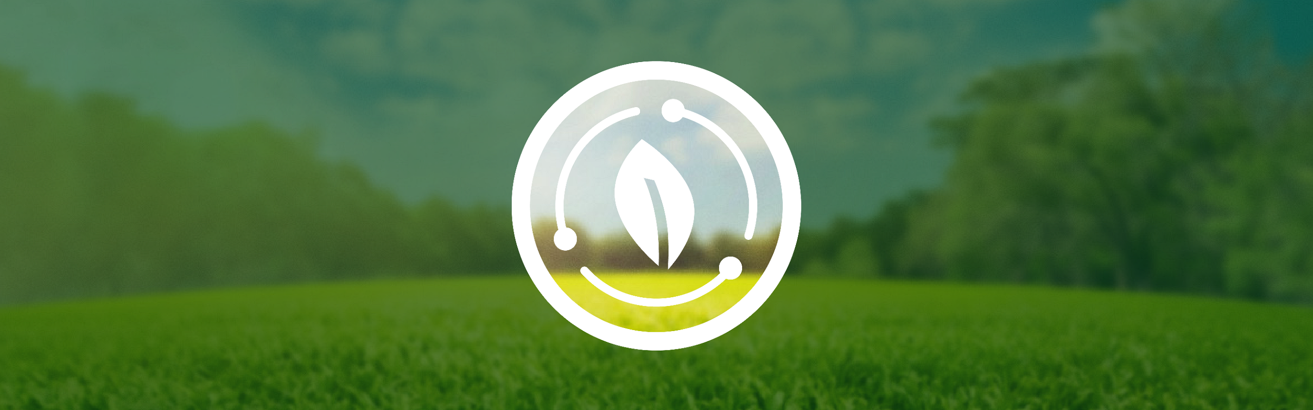 Ett vitt ark, omgivet av tre cirkelformade linjer, ligger i en cirkel. Bakgrunden visar en grön skogsäng under en blå himmel, som utanför cirkeln mörkas av ett mörkgrönt, delvis genomskinligt lager.