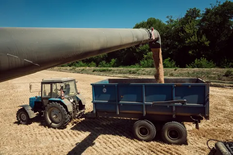 На зображенні показано, як зерно перевантажується через велику трубу для розвантаження з Fendt IDEAL у синій причіп поруч із трактором на зжатому полі.
