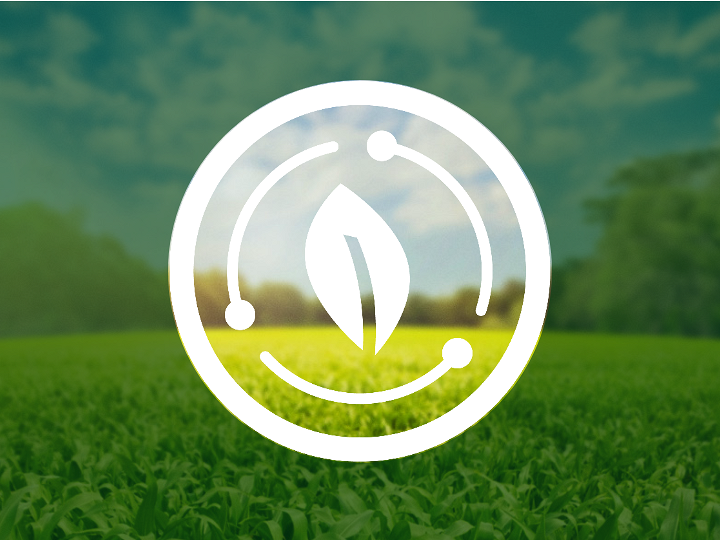 Білий аркуш паперу з трьома круговими лініями розміщений всередині кола. На задньому плані видно зелену лісову галявину під блакитним небом, яка за межами кола затемнена темно-зеленим, напівпрозорим шаром.