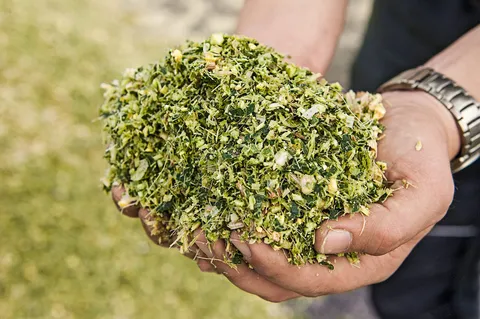 Two hands holding chopped goods from Fendt Katana