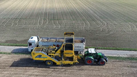 A green Fendt tractor with a ROPA potato harvester bunkering potatoes into a truck at the edge of a field.