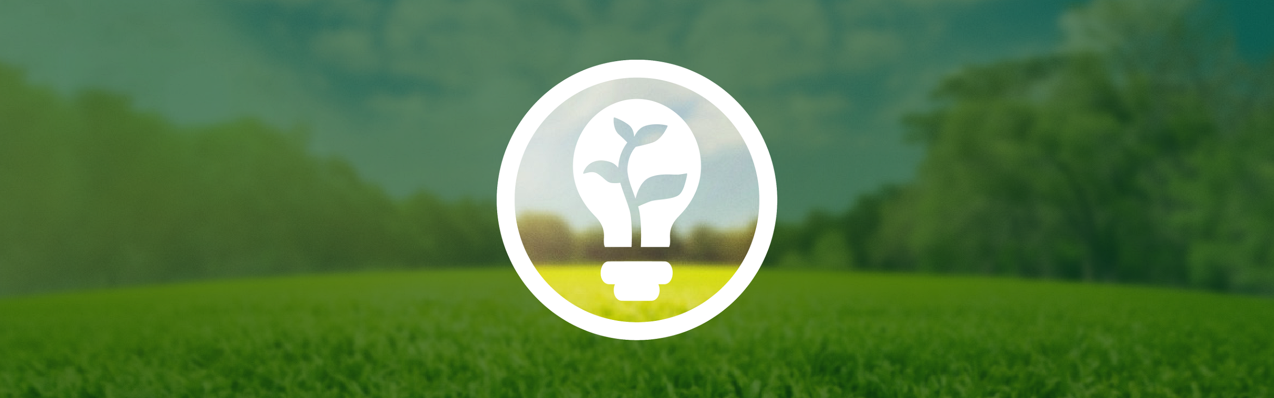 A white light bulb, in which a plant is growing, is located inside a circle. The background shows a green forest meadow under a blue sky, which is darkened outside the circle by a dark green, partially transparent layer.