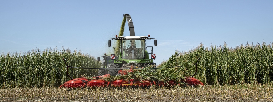 Fendt Katana forage harvester The Fendt Katana forage harvester driving out of a maize field