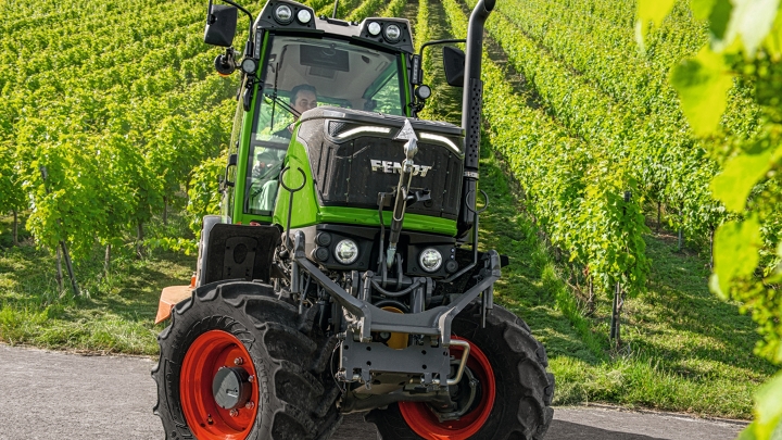 A Fendt 200 Vario in front of a grape orchard