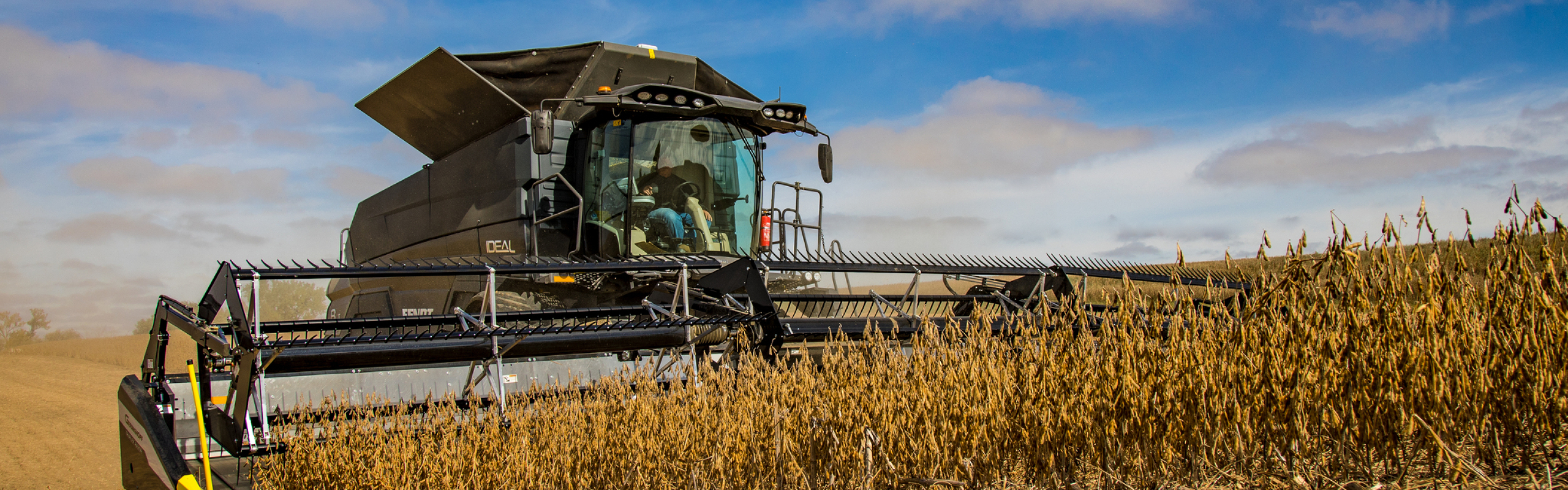 IDEAL combine harveting soybeans