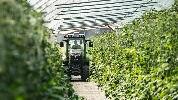 Fendt e100 V Vario Green Fendt e100 V Vario at work in the greenhouse