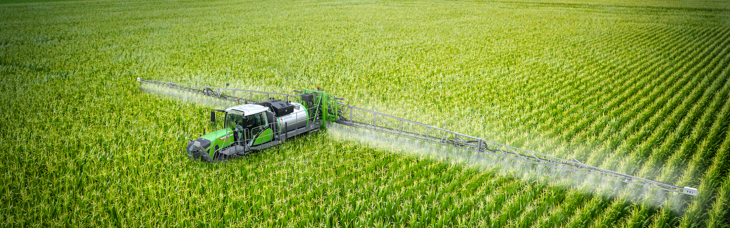 Fendt Rogator sprayer applying product  in a field of tall corn