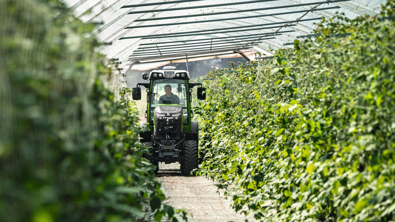 A green Fendt e100 V Vario at work in a greenhouse