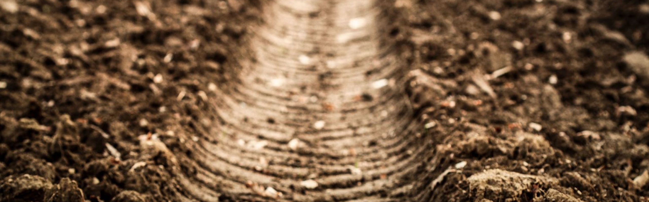 Tire tracks in a dirt field showing soil compaction