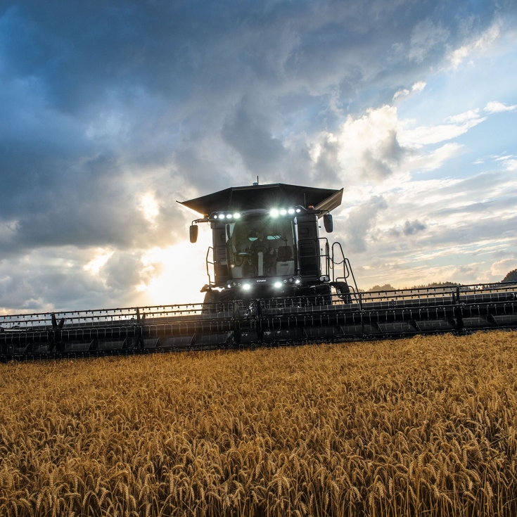 Fendt IDEAL driving in the wheat field